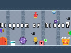 Kingdom of Ninja 7 Online Arcade Game