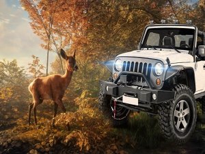 Animal Hunters: Safari Jeep Driving Game Online Arcade Game