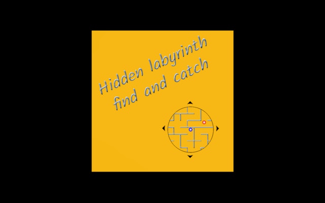 Hidden Labyrinth: Find and Catch Puzzle Game