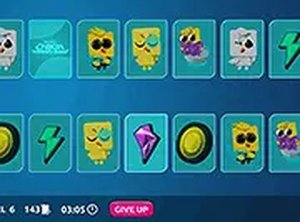 Picture Pair Memory Challenge